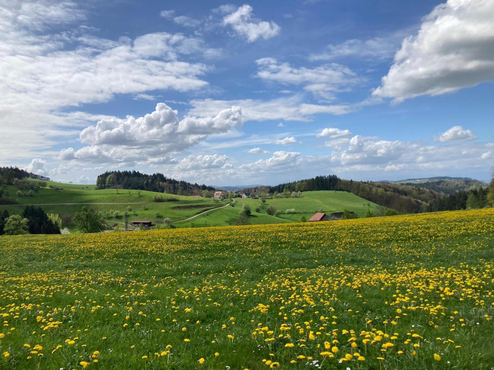 Hotel Ferien Im Schwarzwald Freiamt Exterior foto